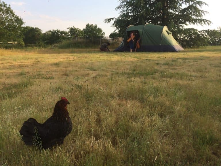 Camping
