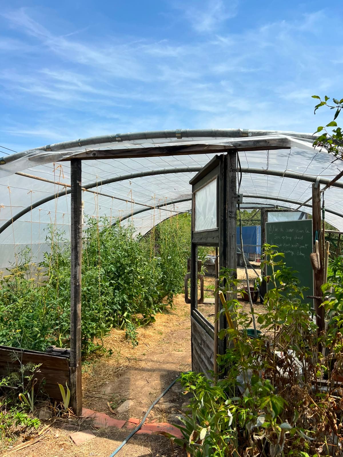 De kas van de moestuin van La Caille, tussen groenten en bloemen
